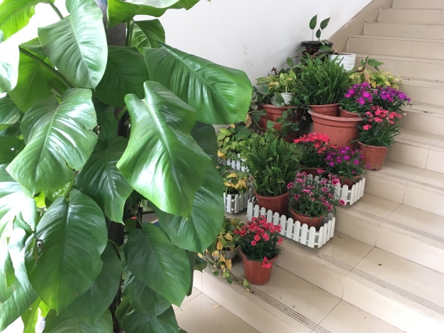 ��ɳ�����·js69(�й�)���޹�˾����