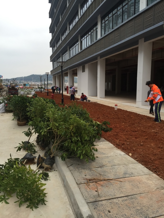 ��ɳ�����·js69(�й�)���޹�˾����