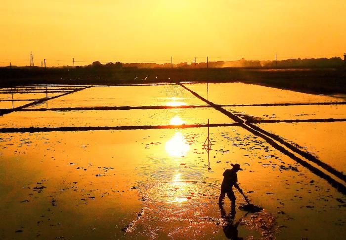 5��Ӱ��Ʒ�������������Ƚ�������Τ��ΰ ��-13768307144700.jpg