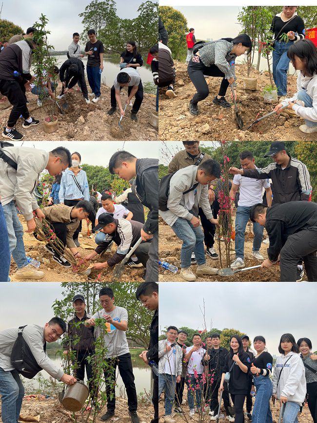 ֲ���ֳ������������� �㣨��ͼ��.jpg